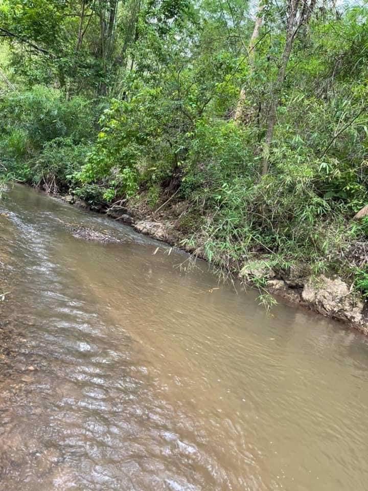 ที่ดินติดลำธาร-ธรรมชาติสุดๆ-บ้านน้ำริน-อสะเมิง-จเชียงใหม่