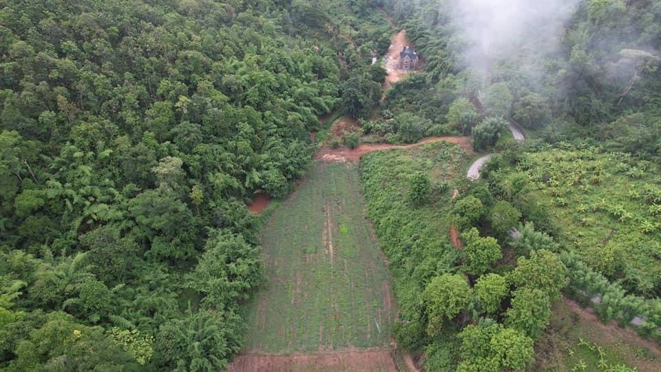 ที่ดินติดลำธาร-ธรรมชาติสุดๆ-บ้านน้ำริน-อสะเมิง-จเชียงใหม่