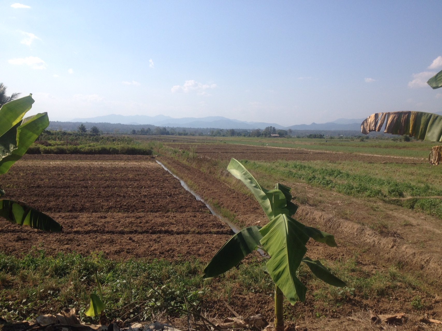 ขายที่ดินแปลงสวย-22-ไร่-2-งาน-81-ตารางวา-อำเภอแม่แตง-จังหวัดเชียงใหม่