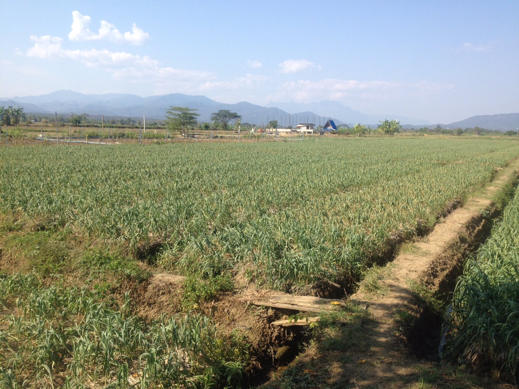 ขายที่ดินแปลงสวย-22-ไร่-2-งาน-81-ตารางวา-อำเภอแม่แตง-จังหวัดเชียงใหม่