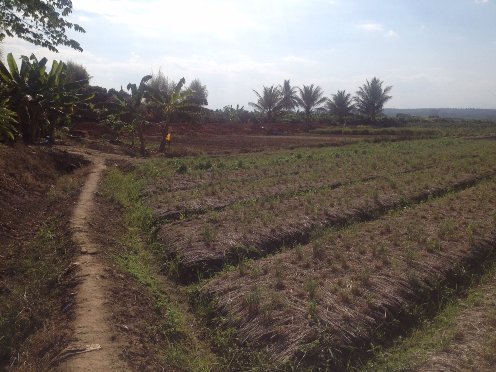 ขายที่ดินแปลงสวย-22-ไร่-2-งาน-81-ตารางวา-อำเภอแม่แตง-จังหวัดเชียงใหม่