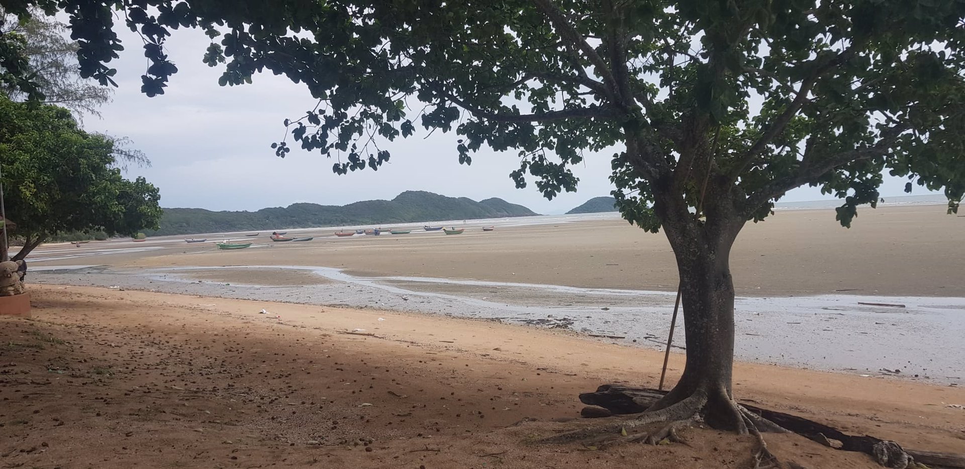 ขาย-ที่ดิน-ติดทะเล-หาดเจ้าหลาว-จันทบุรี-สร้างโรงแรมรีสอร์ท-บ้านพัก