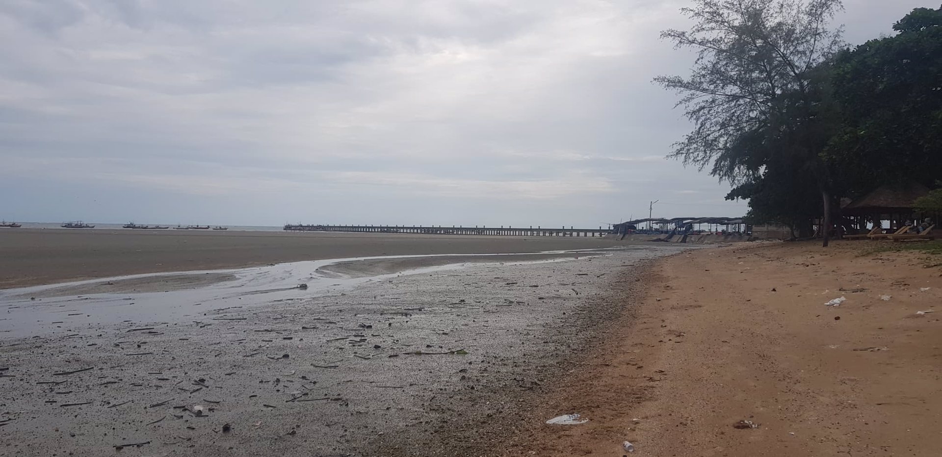 ขาย-ที่ดิน-ติดทะเล-หาดเจ้าหลาว-จันทบุรี-สร้างโรงแรมรีสอร์ท-บ้านพัก