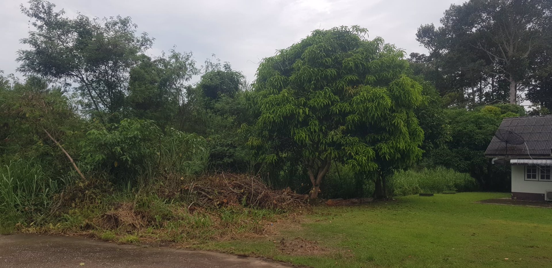 ขาย-ที่ดิน-ติดทะเล-หาดเจ้าหลาว-จันทบุรี-สร้างโรงแรมรีสอร์ท-บ้านพัก