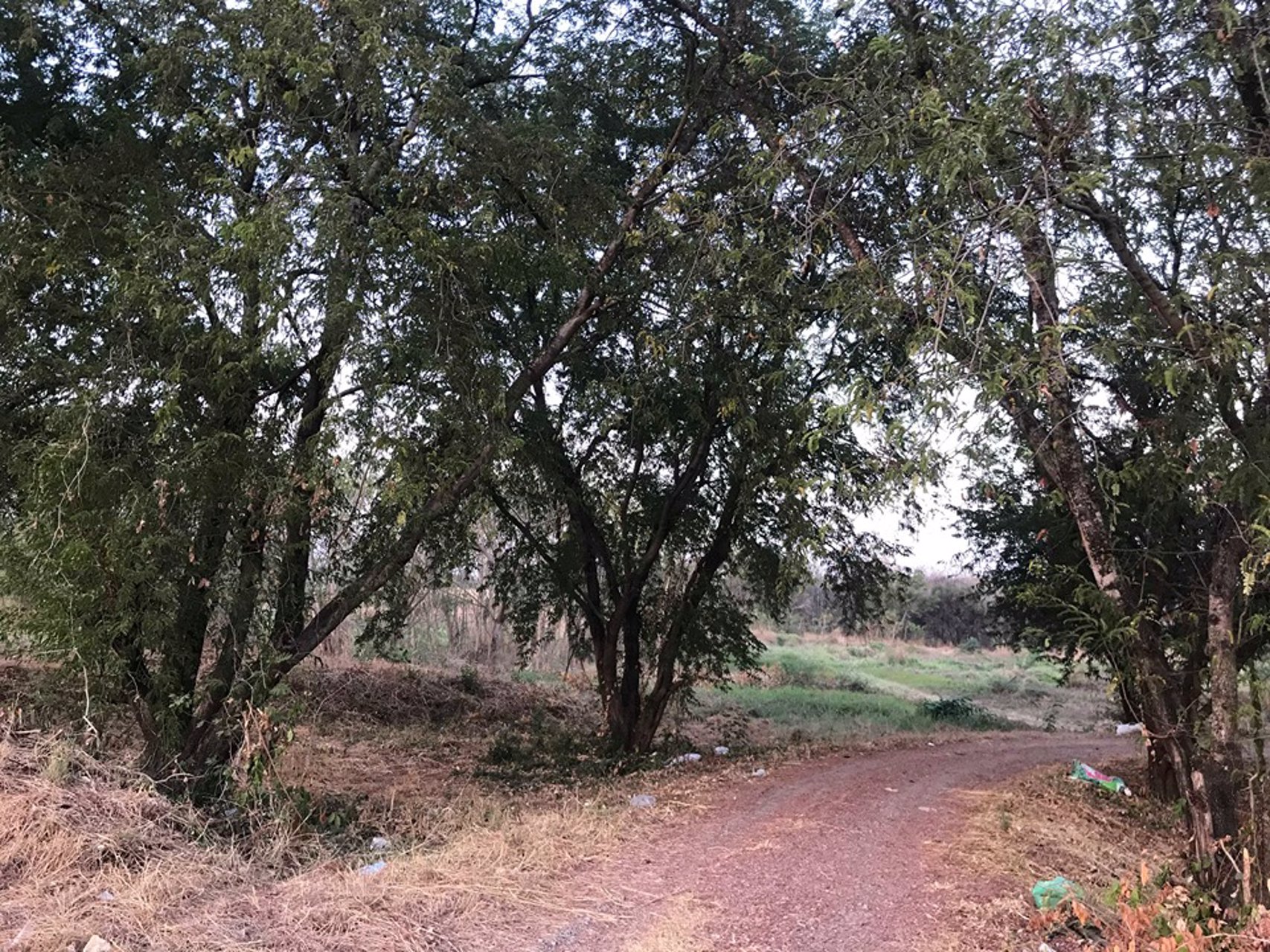 ขายด่วน-ที่ดิน-เพชรบูรณ์-น่าลงทุน-จำนวน-40-ไร่-3-งาน-8410-ตรว-ติดถนนหลัก-สระบุรี-หล่มสัก