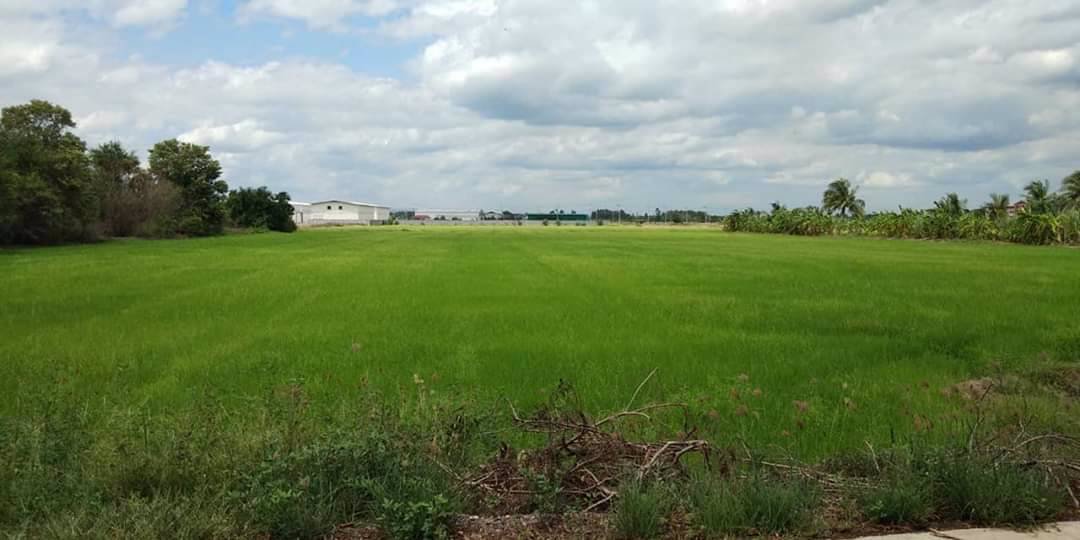 ขาย-ที่ดินเปล่า-ขนาด-11-ไร่-12-ตรว-สามโคก-ปทุมธานี-ใกล้ตลาดโรงเกลือท้ายเกาะ