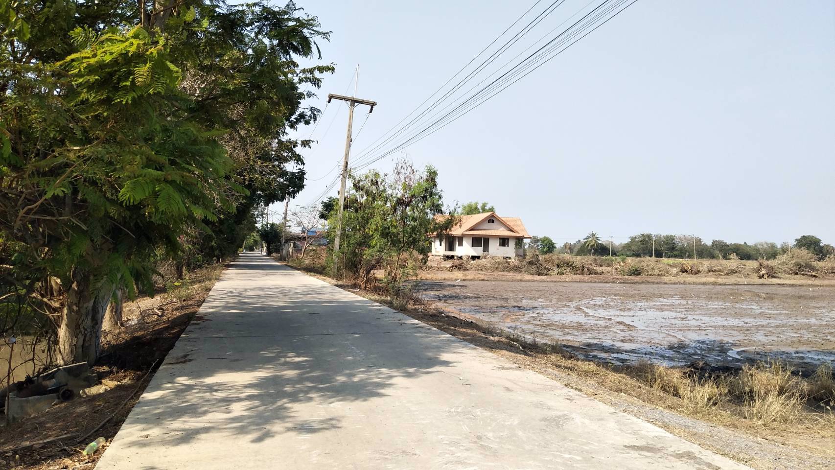 ขาย-ที่ดินเปล่า-ขนาด-11-ไร่-12-ตรว-สามโคก-ปทุมธานี-ใกล้ตลาดโรงเกลือท้ายเกาะ