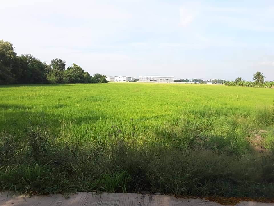 ขาย-ที่ดินเปล่า-ขนาด-11-ไร่-12-ตรว-สามโคก-ปทุมธานี-ใกล้ตลาดโรงเกลือท้ายเกาะ