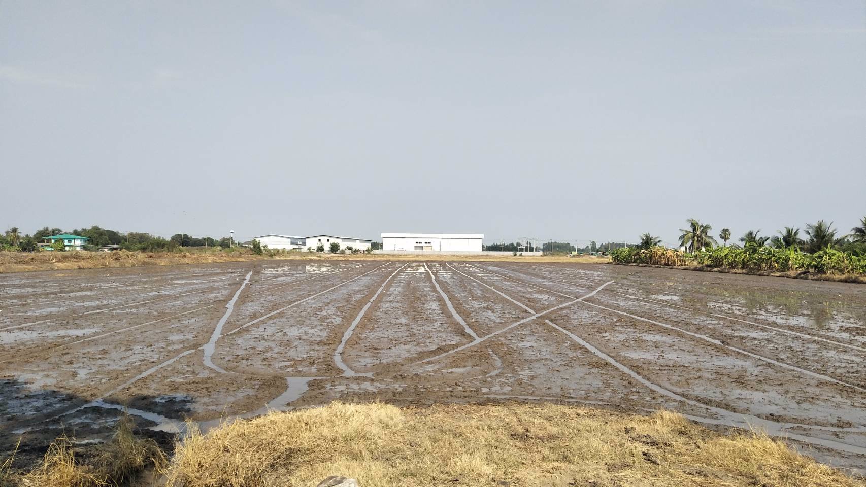 ขาย-ที่ดินเปล่า-ขนาด-11-ไร่-12-ตรว-สามโคก-ปทุมธานี-ใกล้ตลาดโรงเกลือท้ายเกาะ