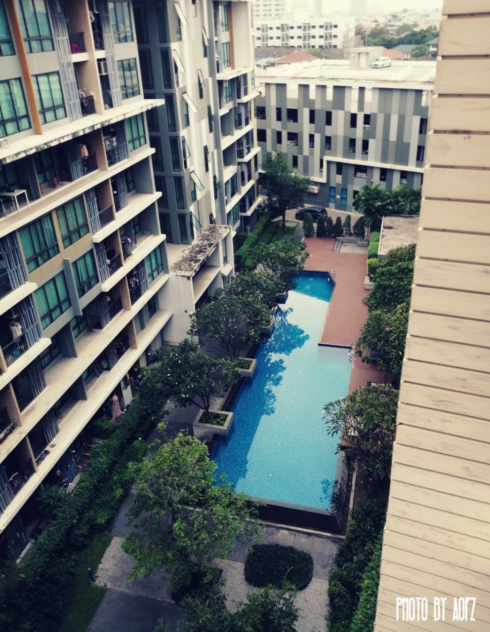 โครงการไอคอนโดสุขุมวิท-103-ใกล้-bts-อุดมสุข-ขนาด-32ตรม-1นอน-1น้ำ-ชั้น-8-ทิศใต้-วิวสระว่ายน้ำ-พร้อ