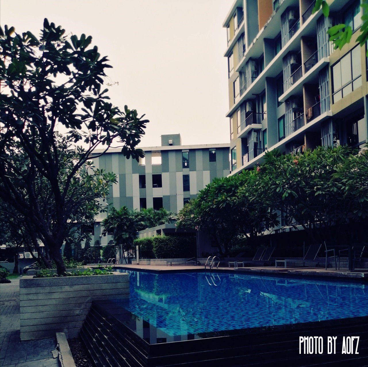 โครงการไอคอนโดสุขุมวิท-103-ใกล้-bts-อุดมสุข-ขนาด-32ตรม-1นอน-1น้ำ-ชั้น-8-ทิศใต้-วิวสระว่ายน้ำ-พร้อ