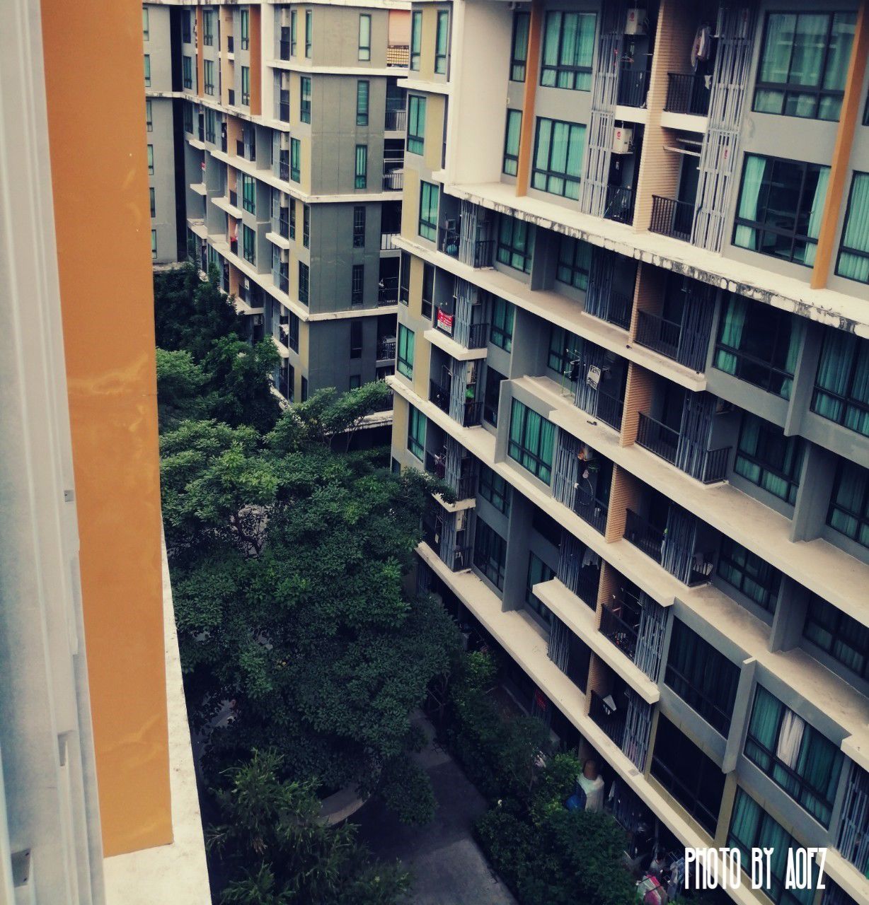 โครงการไอคอนโดสุขุมวิท-103-ใกล้-bts-อุดมสุข-ขนาด-32ตรม-1นอน-1น้ำ-ชั้น-8-ทิศใต้-วิวสระว่ายน้ำ-พร้อ