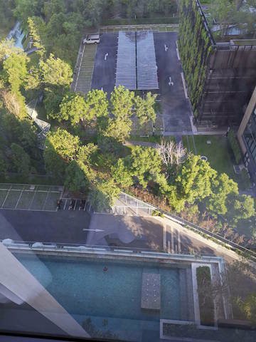 whizdom-connect-sukhumvit-101-fully-furnished-peaceful-12fl-bts-punnawithi