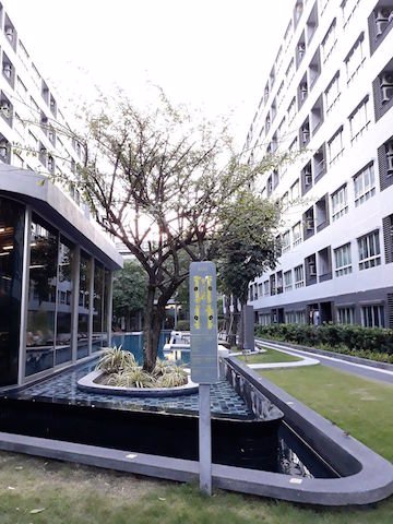 elio-sukhumvit-64-beautiful-view-convenient-travel-ready-to-move-in-bts-punnawithi