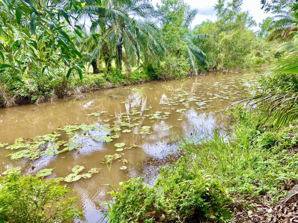 ขายด่วน-ที่ดินจันทบุรี-ที่ดินแปลงสวยๆ-ติดถนนดำ