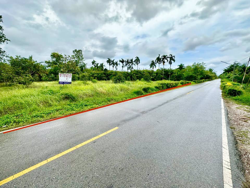 ขายด่วน-ที่ดินจันทบุรี-ที่ดินแปลงสวยๆ-ติดถนนดำ