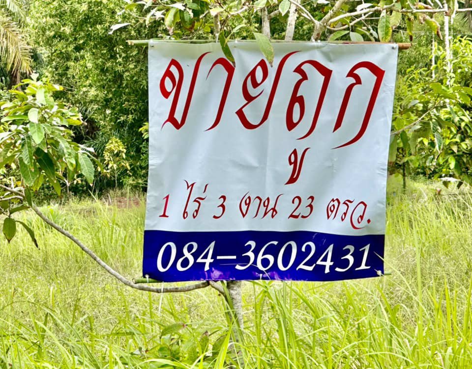 ขายด่วน-ที่ดินจันทบุรี-ที่ดินแปลงสวยๆ-ติดถนนดำ