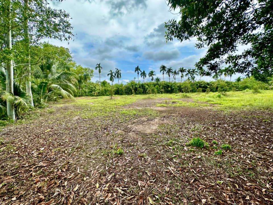 ขายด่วน-ที่ดินจันทบุรี-ที่ดินแปลงสวยๆ-ติดถนนดำ