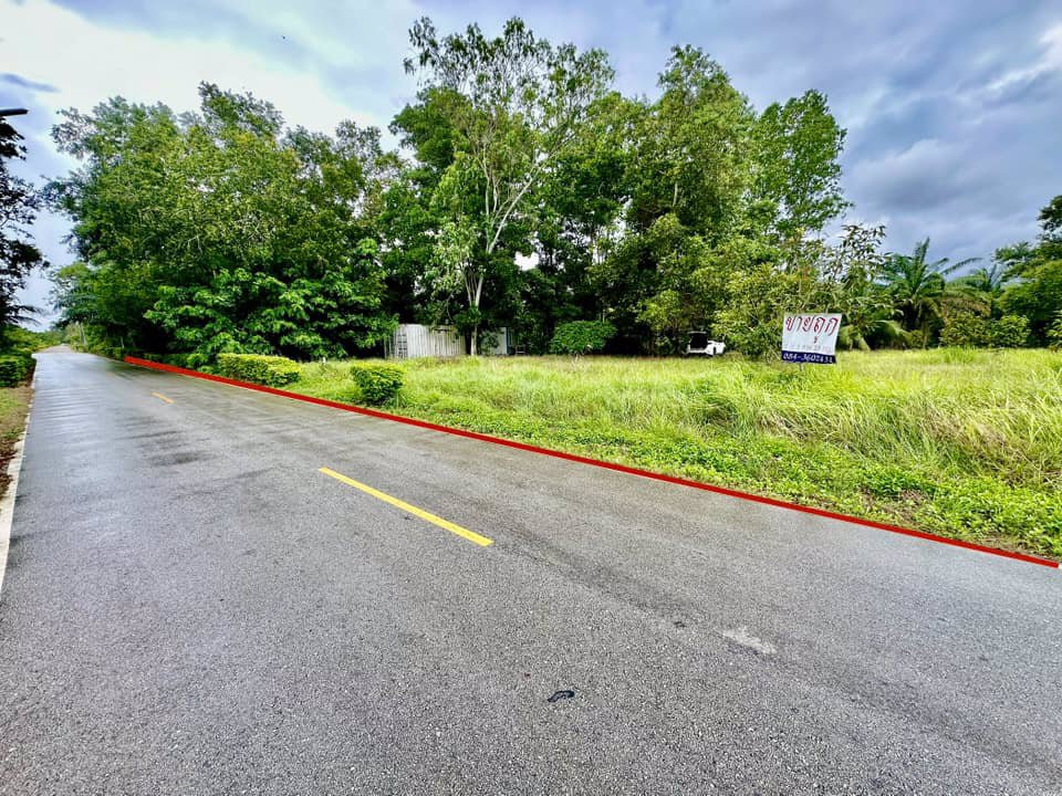 ขายด่วน-ที่ดินจันทบุรี-ที่ดินแปลงสวยๆ-ติดถนนดำ