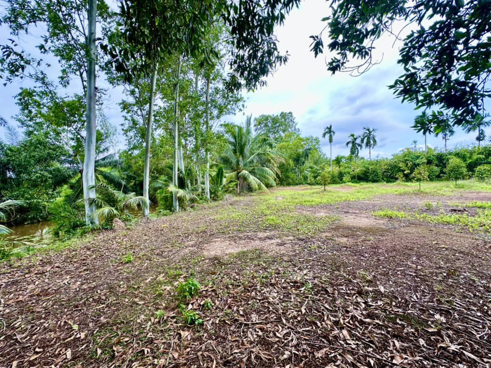 ขายด่วน-ที่ดินจันทบุรี-ที่ดินแปลงสวยๆ-ติดถนนดำ