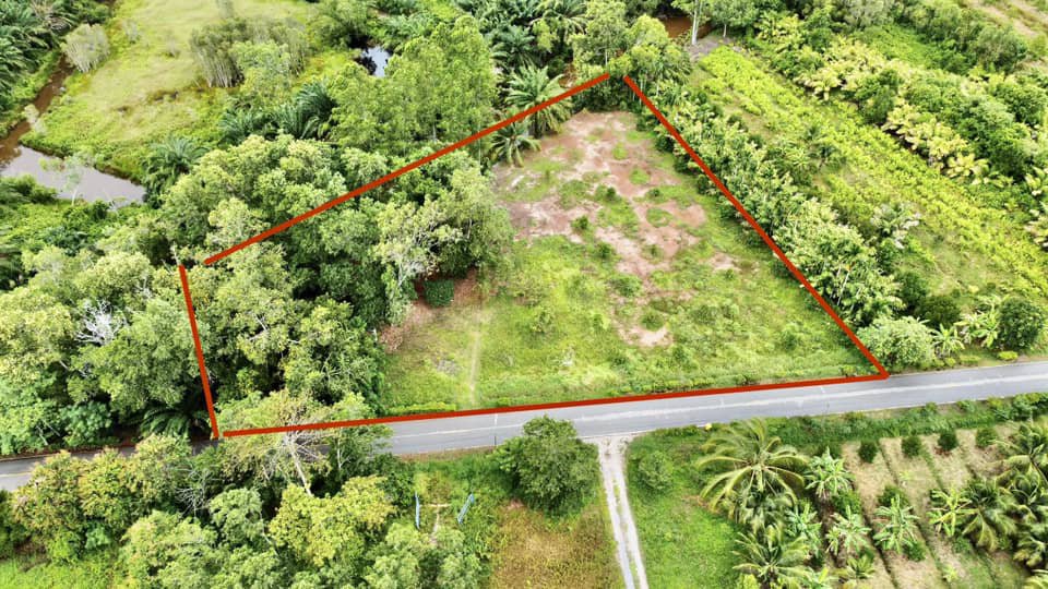 ขายด่วน-ที่ดินจันทบุรี-ที่ดินแปลงสวยๆ-ติดถนนดำ