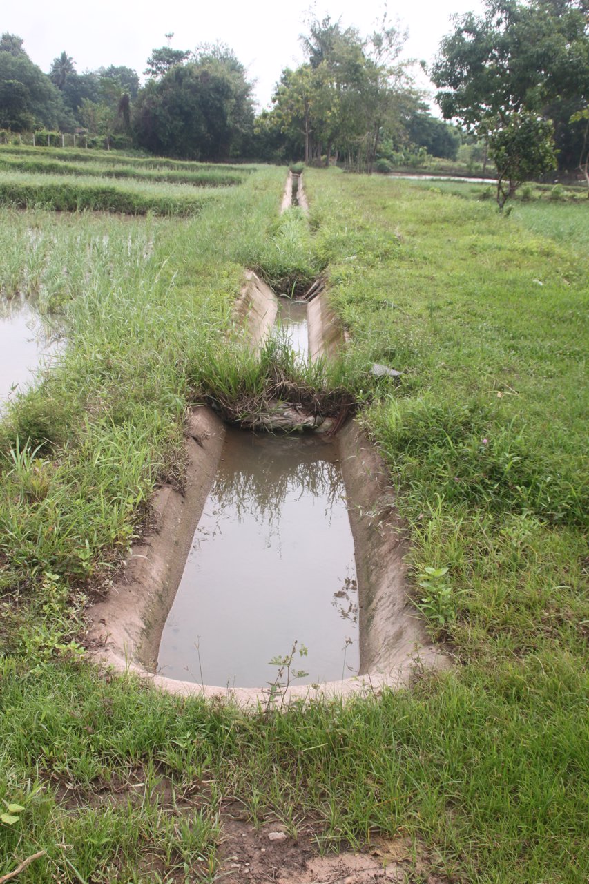 ขายี่ดิน-5ไร่-3งาน-87ตารางวา-เมือง-สกลนคร