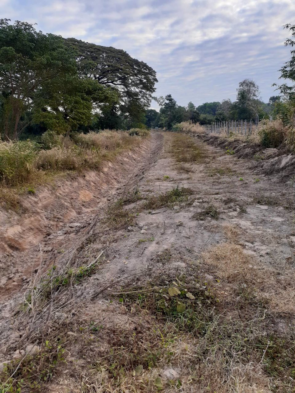 ขายี่ดิน-5ไร่-3งาน-87ตารางวา-เมือง-สกลนคร