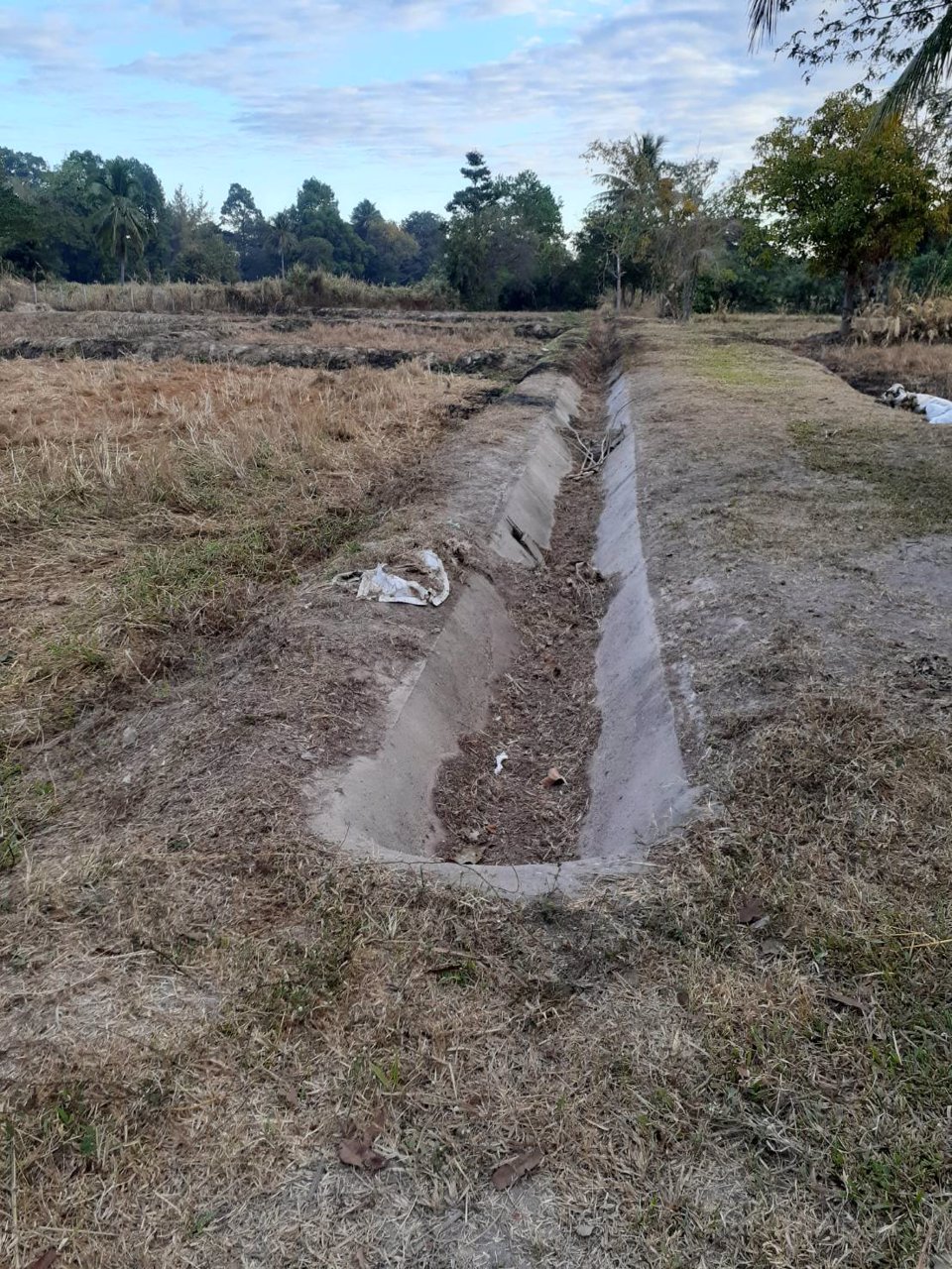 ขายี่ดิน-5ไร่-3งาน-87ตารางวา-เมือง-สกลนคร