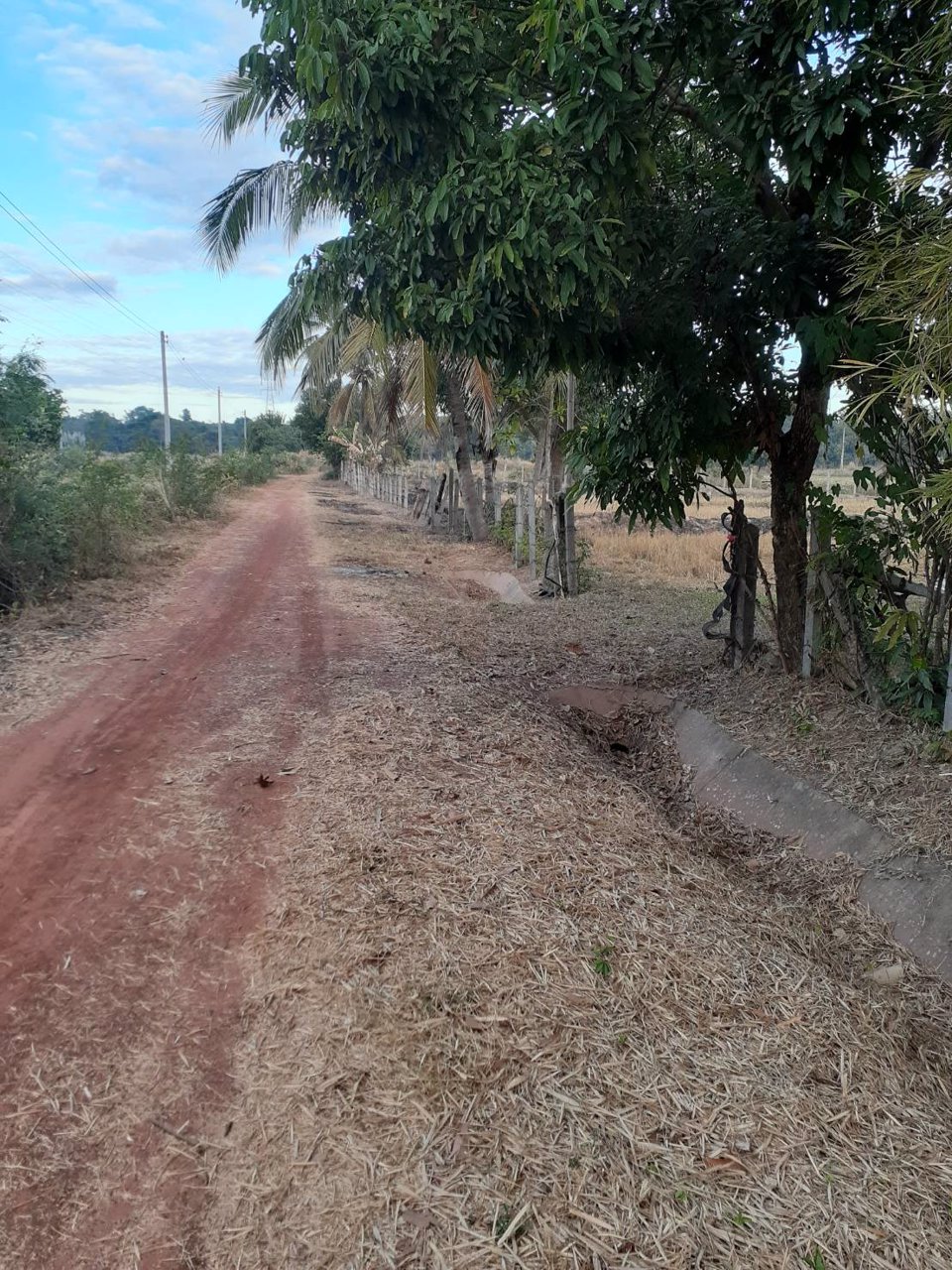 ขายี่ดิน-5ไร่-3งาน-87ตารางวา-เมือง-สกลนคร