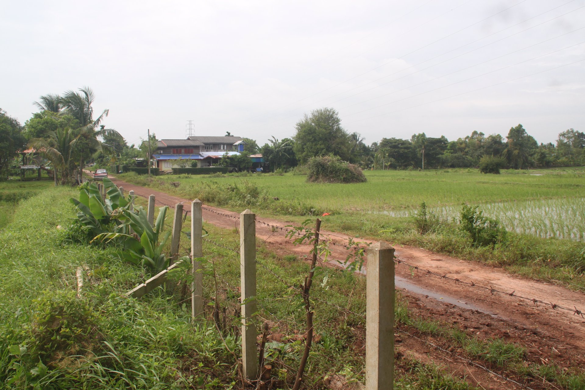 ขายี่ดิน-5ไร่-3งาน-87ตารางวา-เมือง-สกลนคร