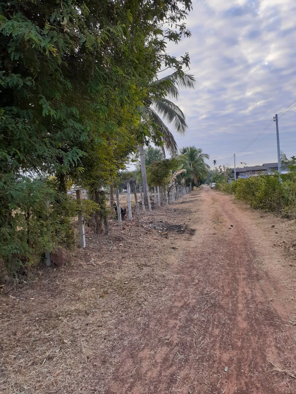 ขายี่ดิน-5ไร่-3งาน-87ตารางวา-เมือง-สกลนคร