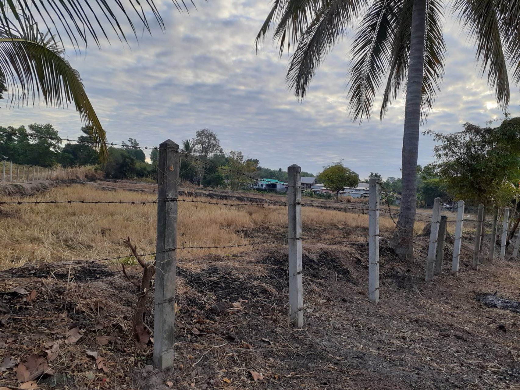 ขายี่ดิน-5ไร่-3งาน-87ตารางวา-เมือง-สกลนคร