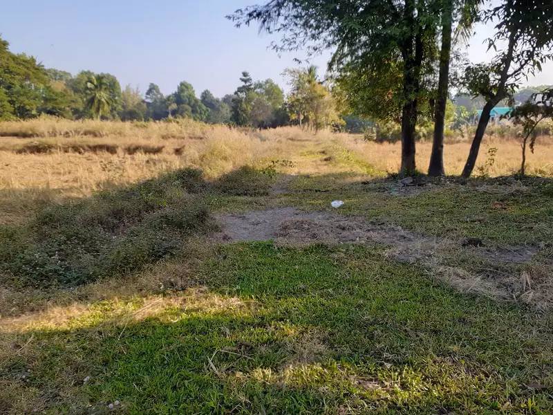 ขายี่ดิน-5ไร่-3งาน-87ตารางวา-เมือง-สกลนคร