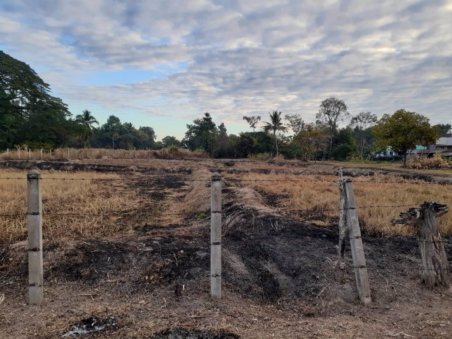 ขายี่ดิน-5ไร่-3งาน-87ตารางวา-เมือง-สกลนคร