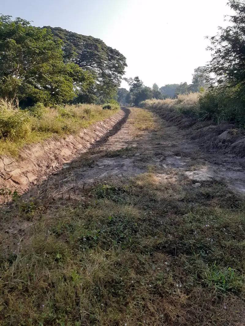 ขายี่ดิน-5ไร่-3งาน-87ตารางวา-เมือง-สกลนคร