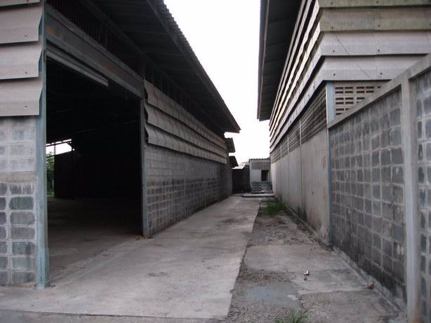 ให้เช่าด่วน-โกดัง-พื้นที่ใช้สอยรวม-800-ตรม-ถนนสุขาภิบาล-5-วัชรพล-ให้เช่า-65000-บ-ด-ให้เช่า-โกดังเก