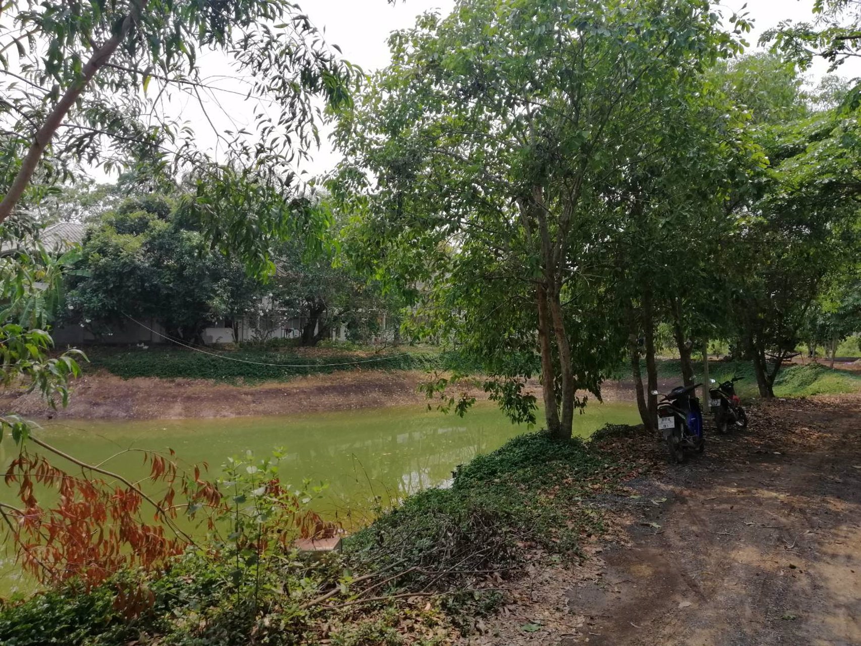 ให้เช่าโกดัง-โรงงาน-รังสิต-นครนายกคลอง-14-เนื้อที่-6-ไร่-มีอาคาร-3-หลัง-เหมาะทำโรงงานและเก็บสินค้า