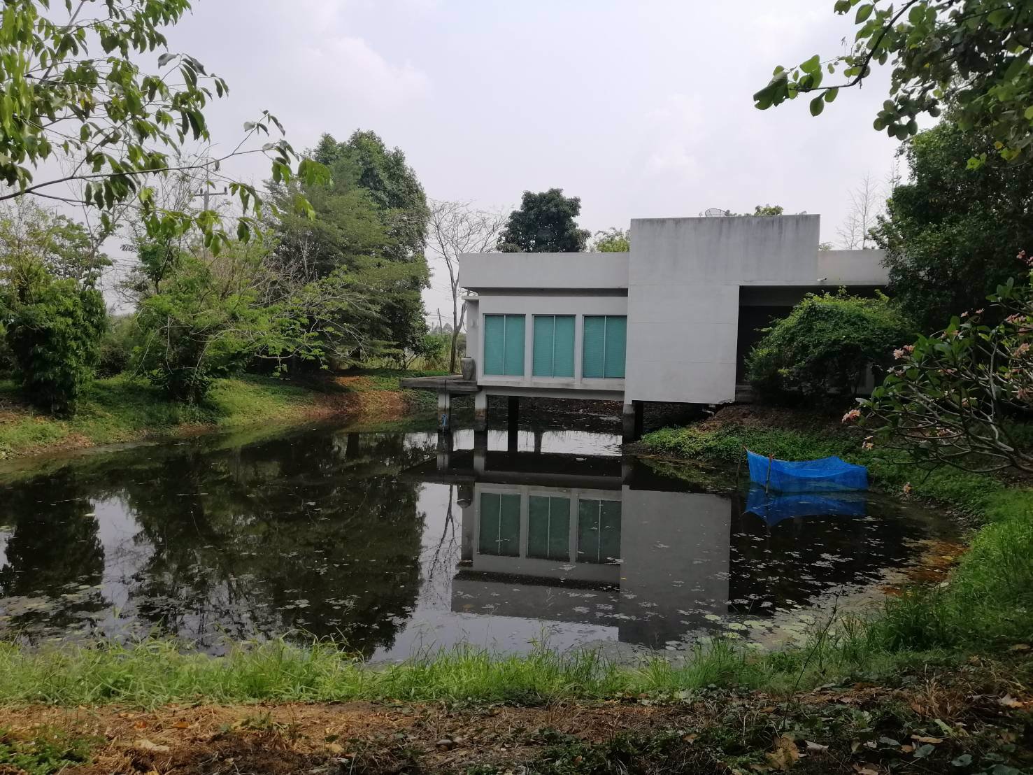 ให้เช่าโกดัง-โรงงาน-รังสิต-นครนายกคลอง-14-เนื้อที่-6-ไร่-มีอาคาร-3-หลัง-เหมาะทำโรงงานและเก็บสินค้า