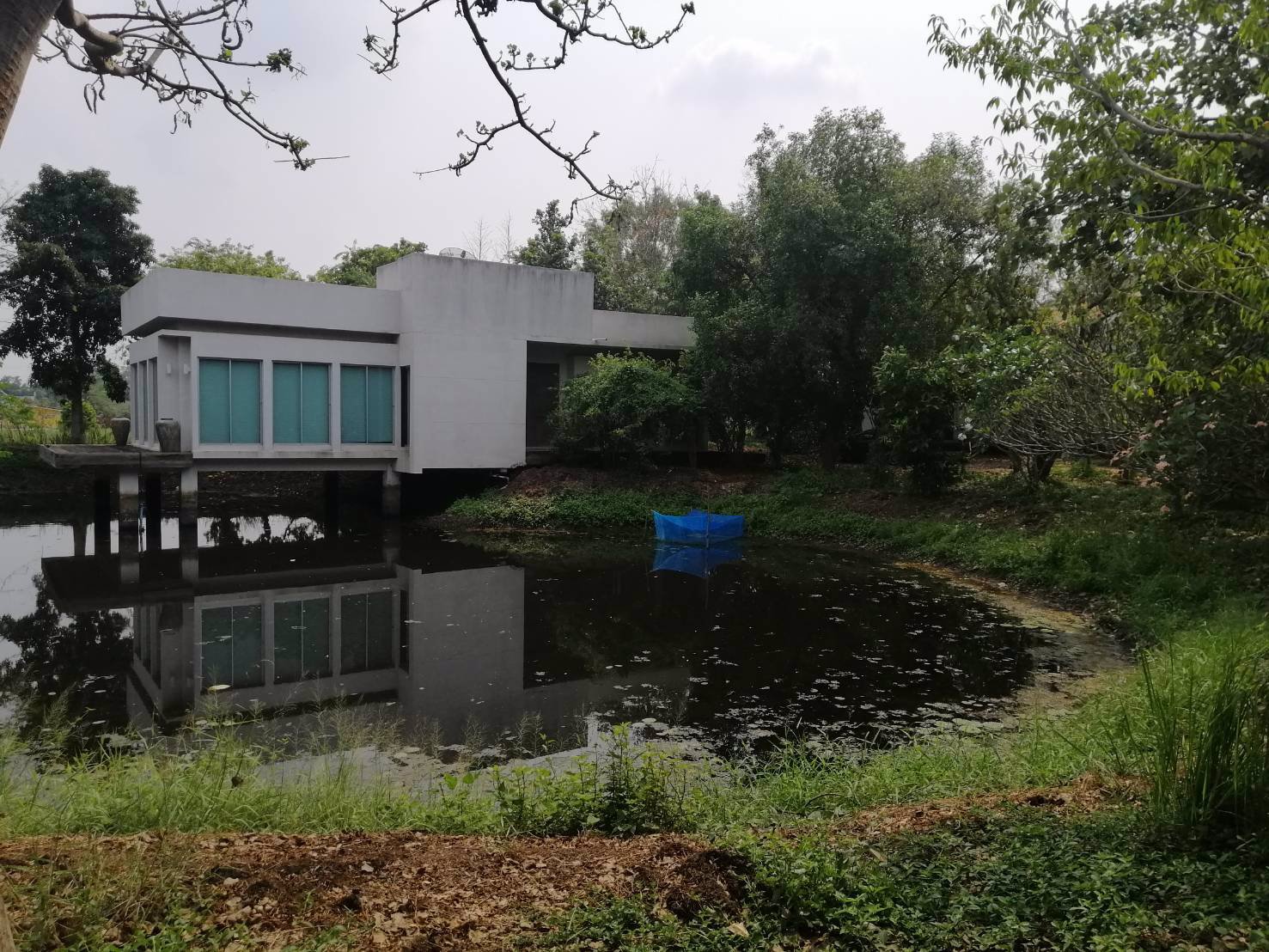 ให้เช่าโกดัง-โรงงาน-รังสิต-นครนายกคลอง-14-เนื้อที่-6-ไร่-มีอาคาร-3-หลัง-เหมาะทำโรงงานและเก็บสินค้า