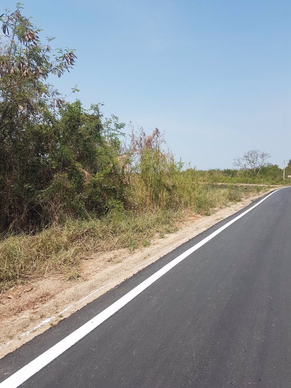 ขายที่ดิน-25-ไร่-ซวัดปากบ่อ-พระราม2-กม36-ที่ดินสวยเหมาะสร้างโรงงานหรือโครงการหมู่บ้าน