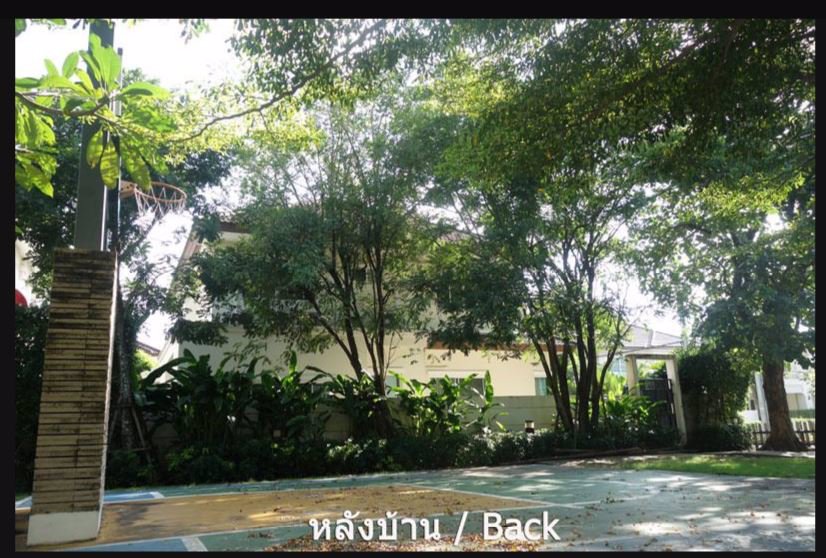 ให้เช่า-โครงการ-the-cenntro-รัตานาธิเบศร์-บ้านเดี่ยว-85-ตรว-หลังริมและหลังบ้านติดสวนโครงการ