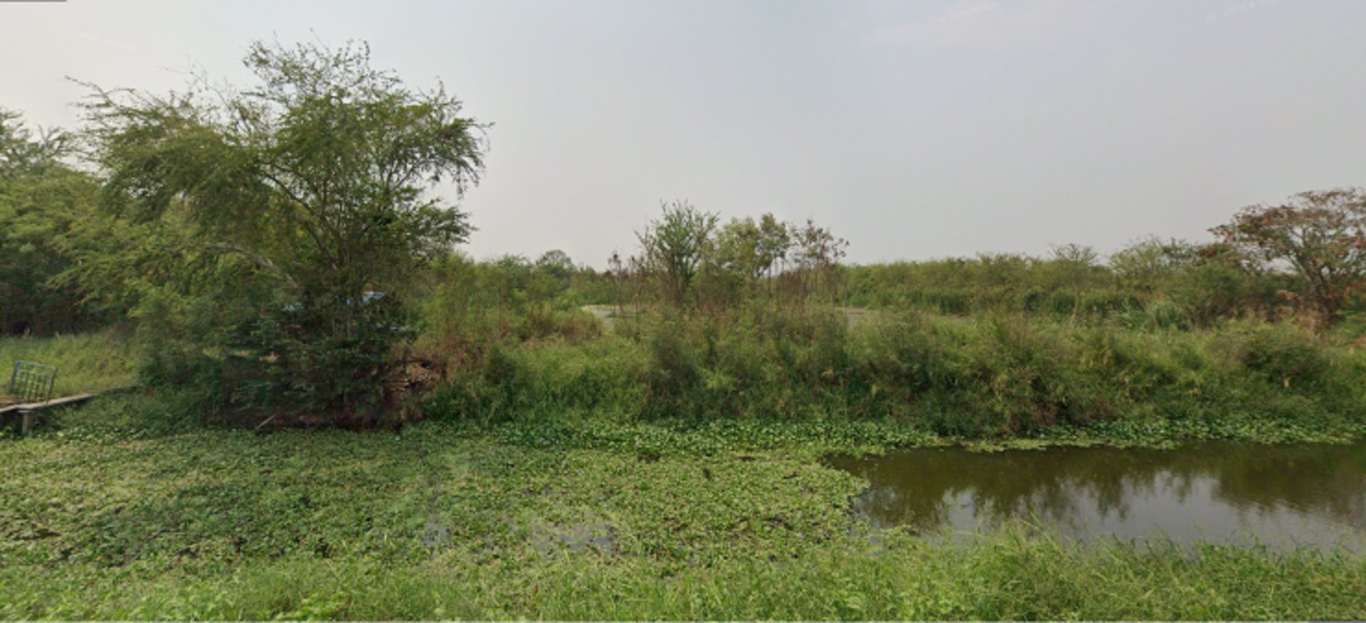 ขายที่ดินแถวบางปะกง-ขนาดพื้นที่-9-ไร่-16-ตารางวา