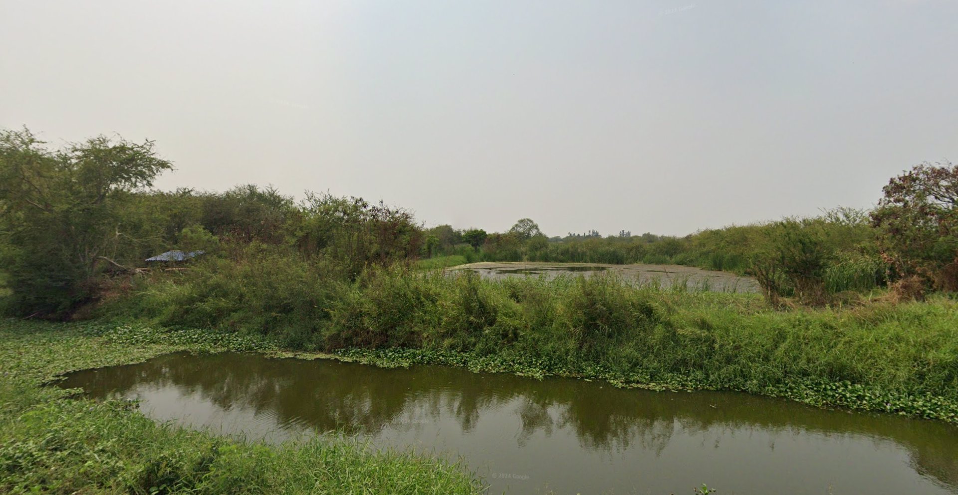 ขายที่ดินแถวบางปะกง-ขนาดพื้นที่-9-ไร่-16-ตารางวา