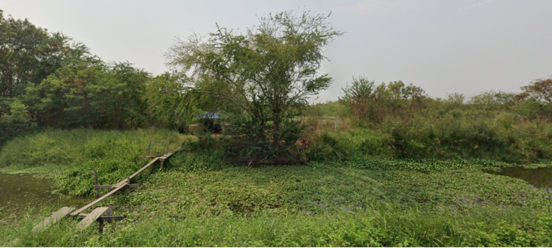 ขายที่ดินแถวบางปะกง-ขนาดพื้นที่-9-ไร่-16-ตารางวา