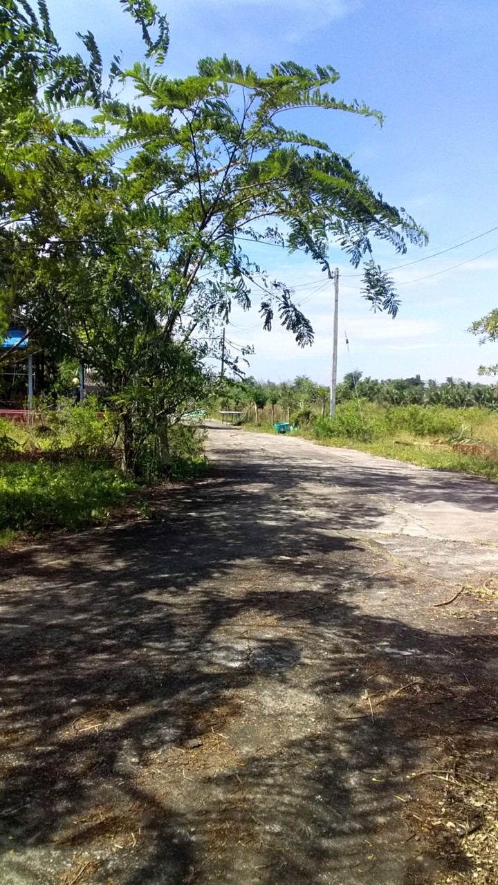 ขายที่ดินชะอำพร้อมสิ่งปลูกสร้าง-ทางลัดเข้าหาดชะอำ