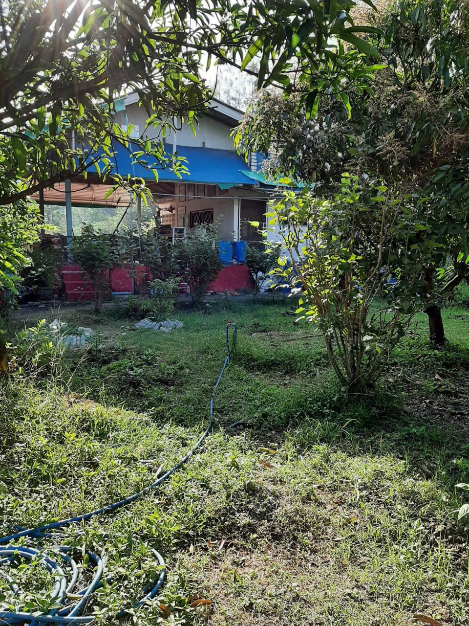 ขายที่ดินชะอำพร้อมสิ่งปลูกสร้าง-ทางลัดเข้าหาดชะอำ