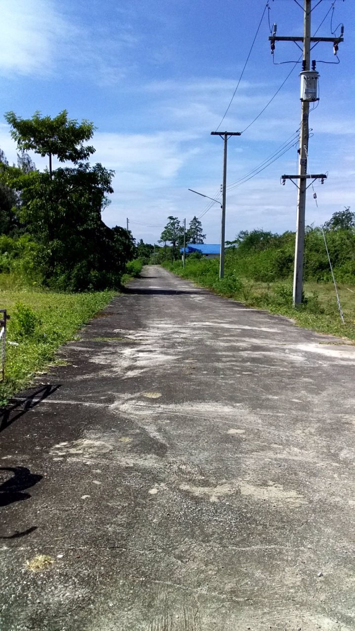 ประกาศขายที่ดินชะอำ-เส้นรทางลัดเขเาหาดชะอำ