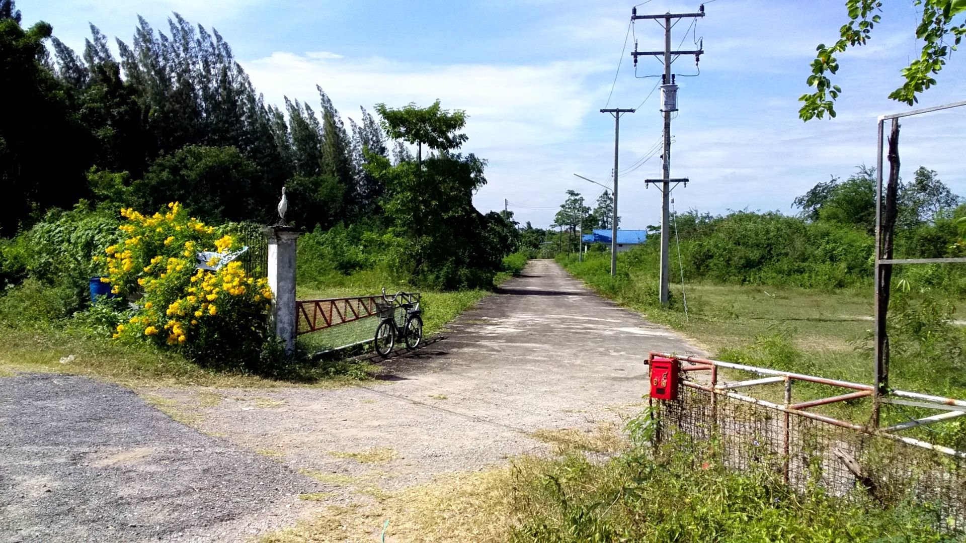 ประกาศขายที่ดินชะอำ-เส้นรทางลัดเขเาหาดชะอำ