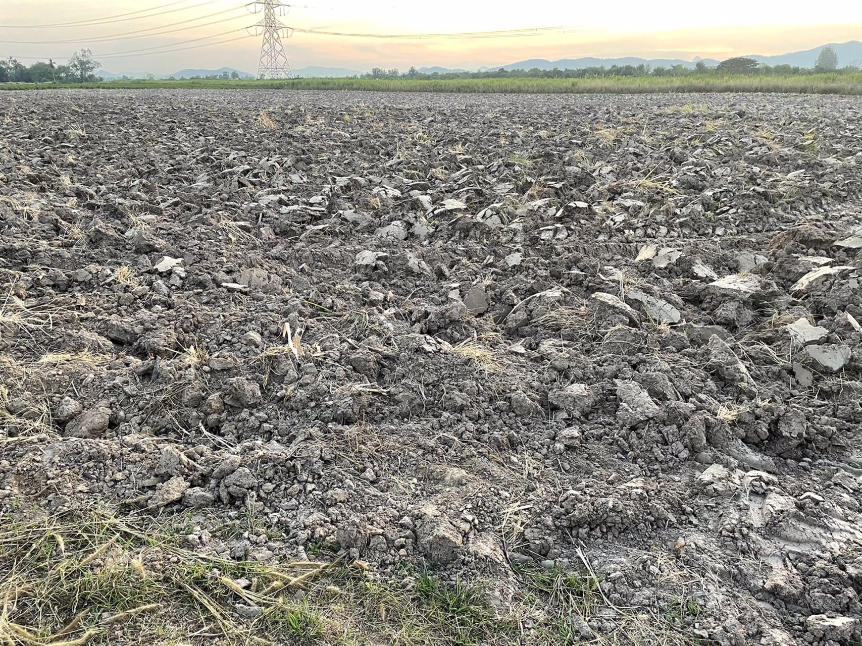 ขายที่ดิน-โฉนดครุทแเดง-นส4-จ-พร้อมโอนไม่ติดภาระ-เนื้อที่รวม-14ไร่-2-งาน-68-ตรว