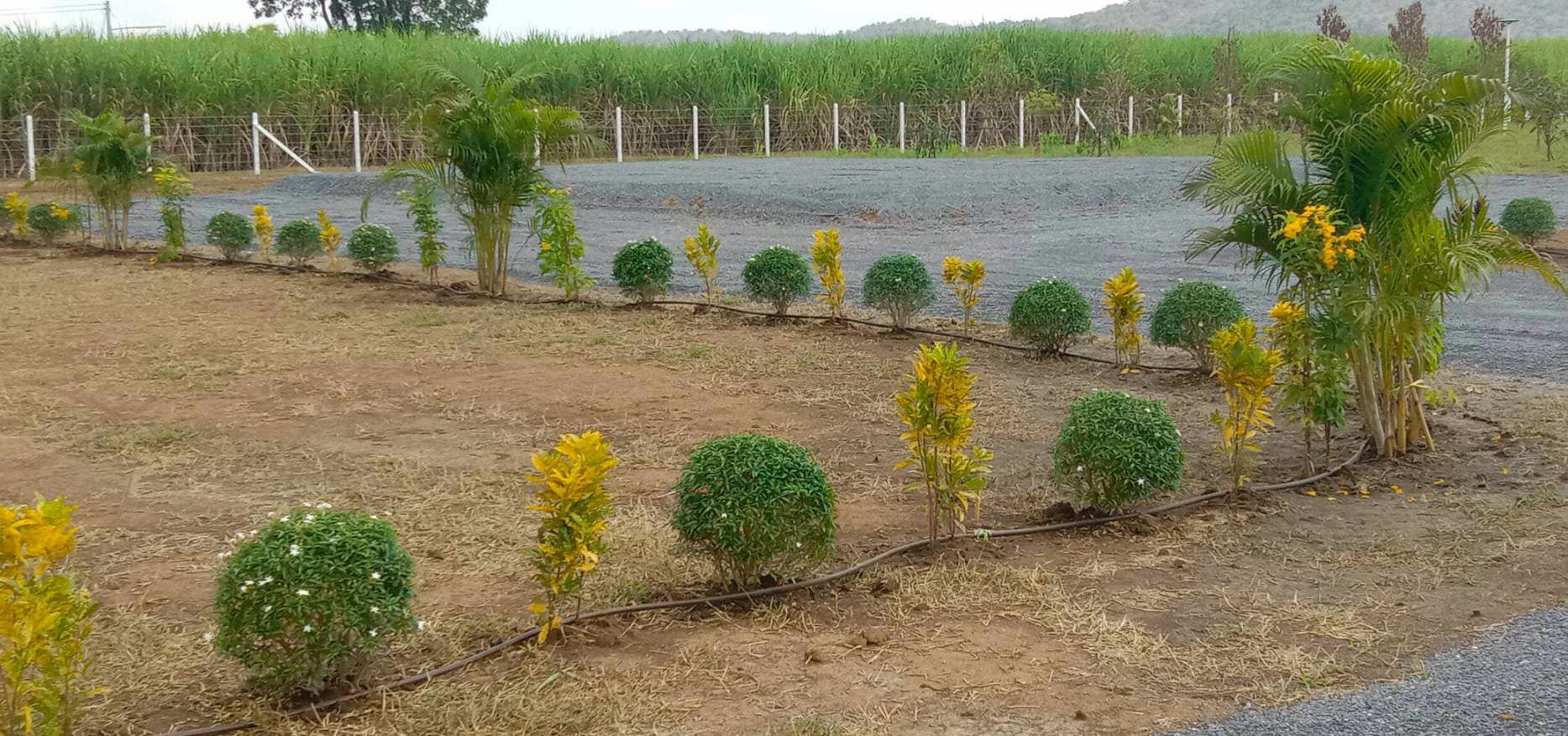 ราคาพิเศษ-ส่งท้ายปี-ราคาพิเศษมาก-ลดแปลงละ-50000-